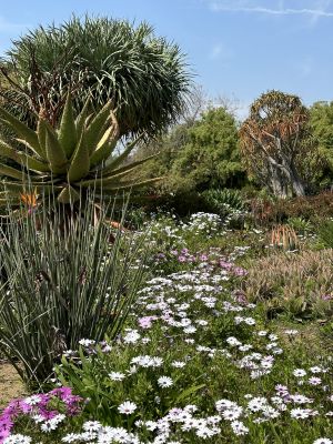 LA Arboretum lush garden